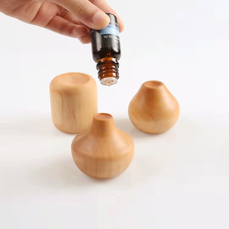 50ml essential oil diffuser case